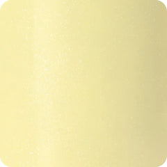 Shimmer Buttercup Lunch Bowl Set 60oz